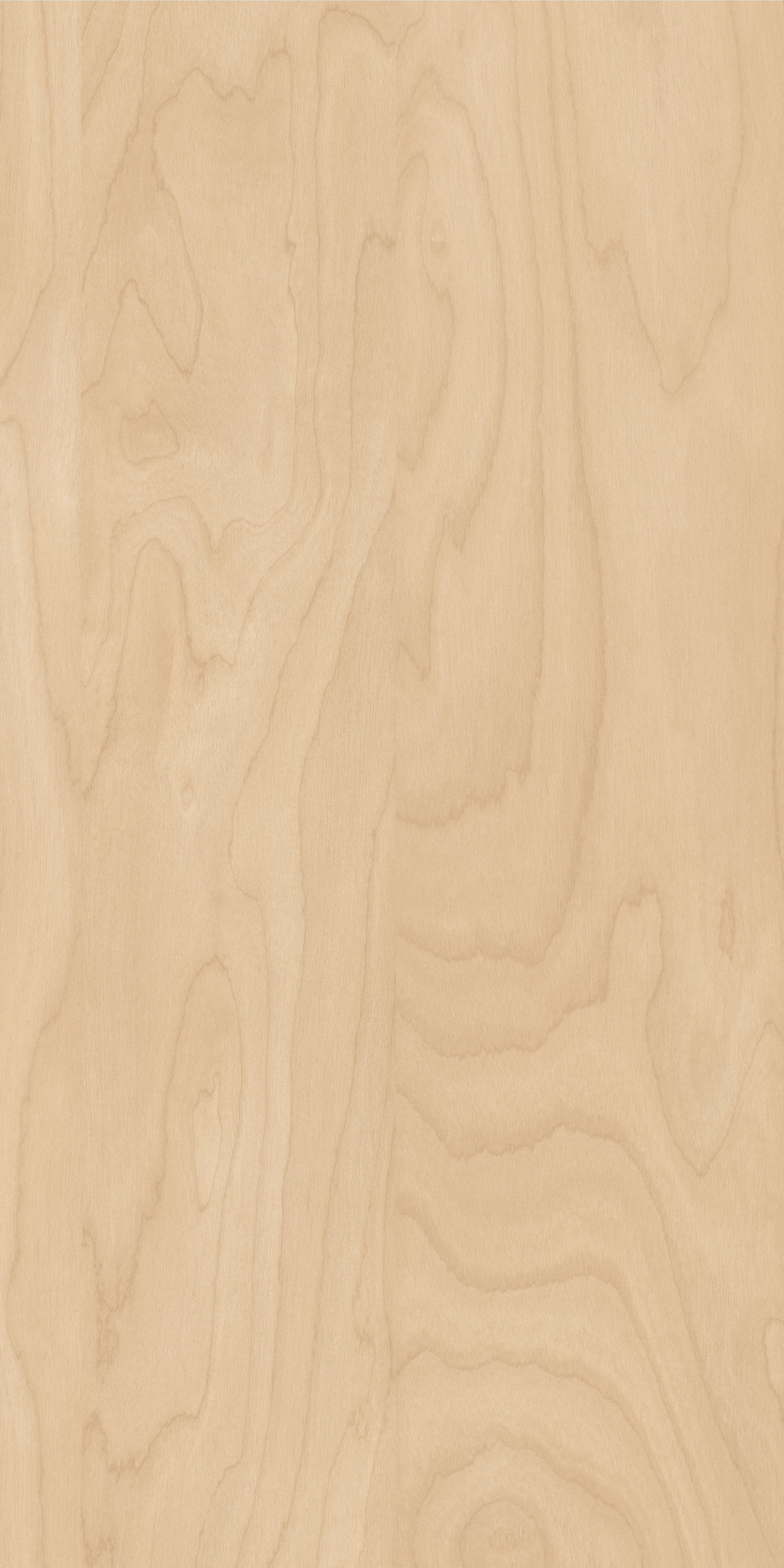 European Birch Rotary Cut