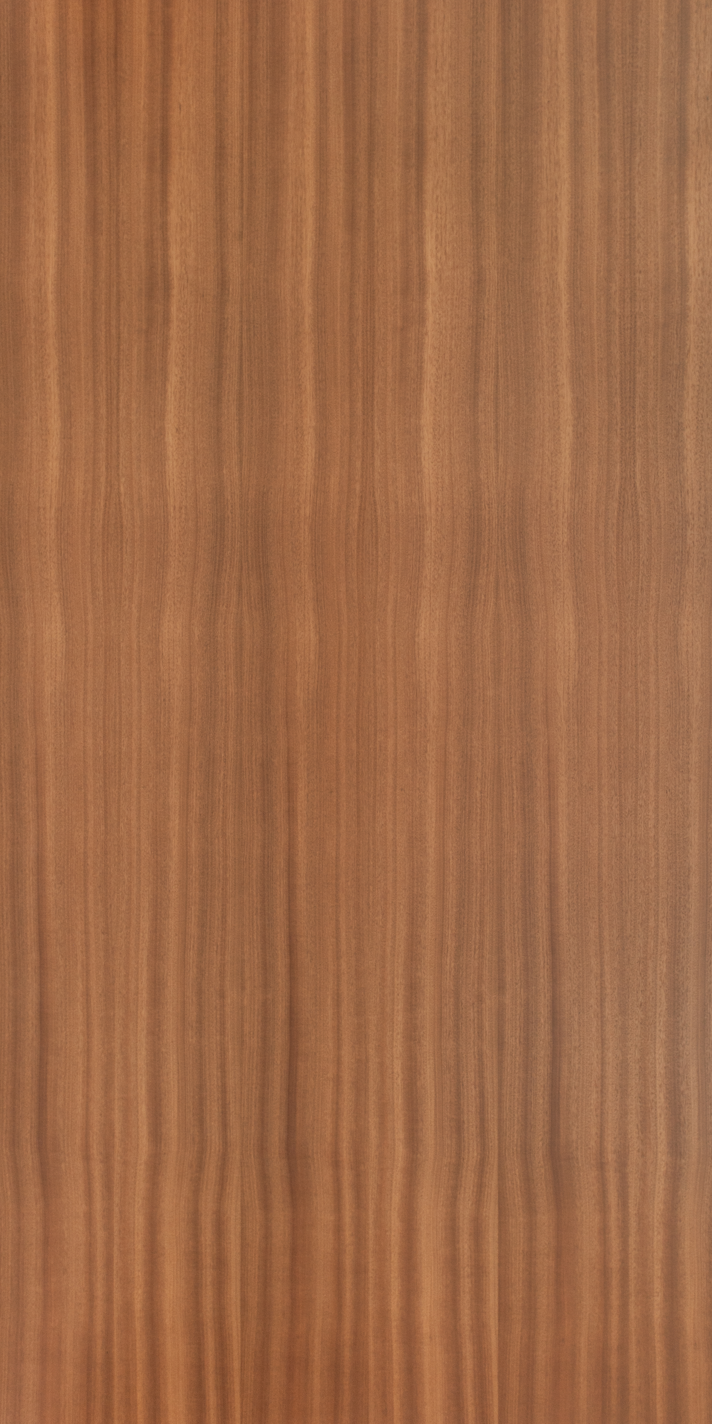 Sapele Quarter Cut