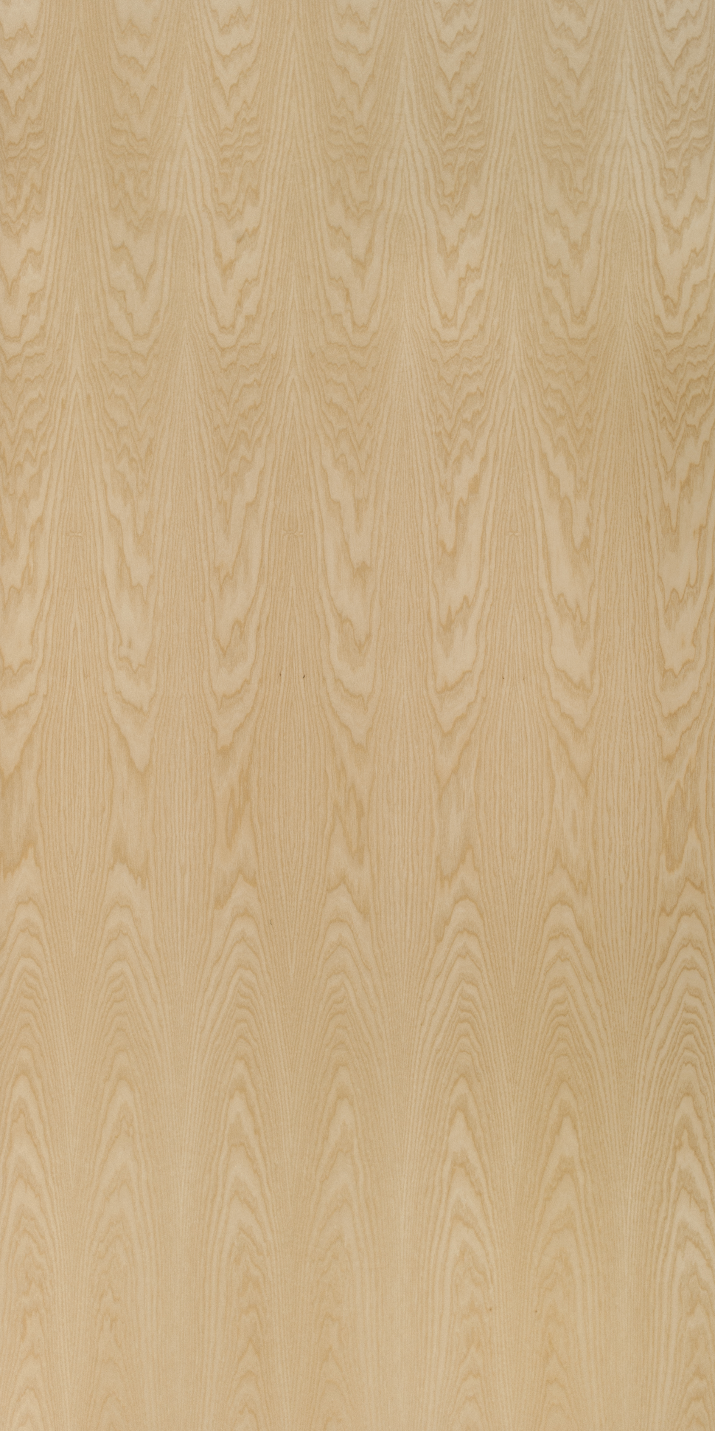 American White Ash Crown Cut