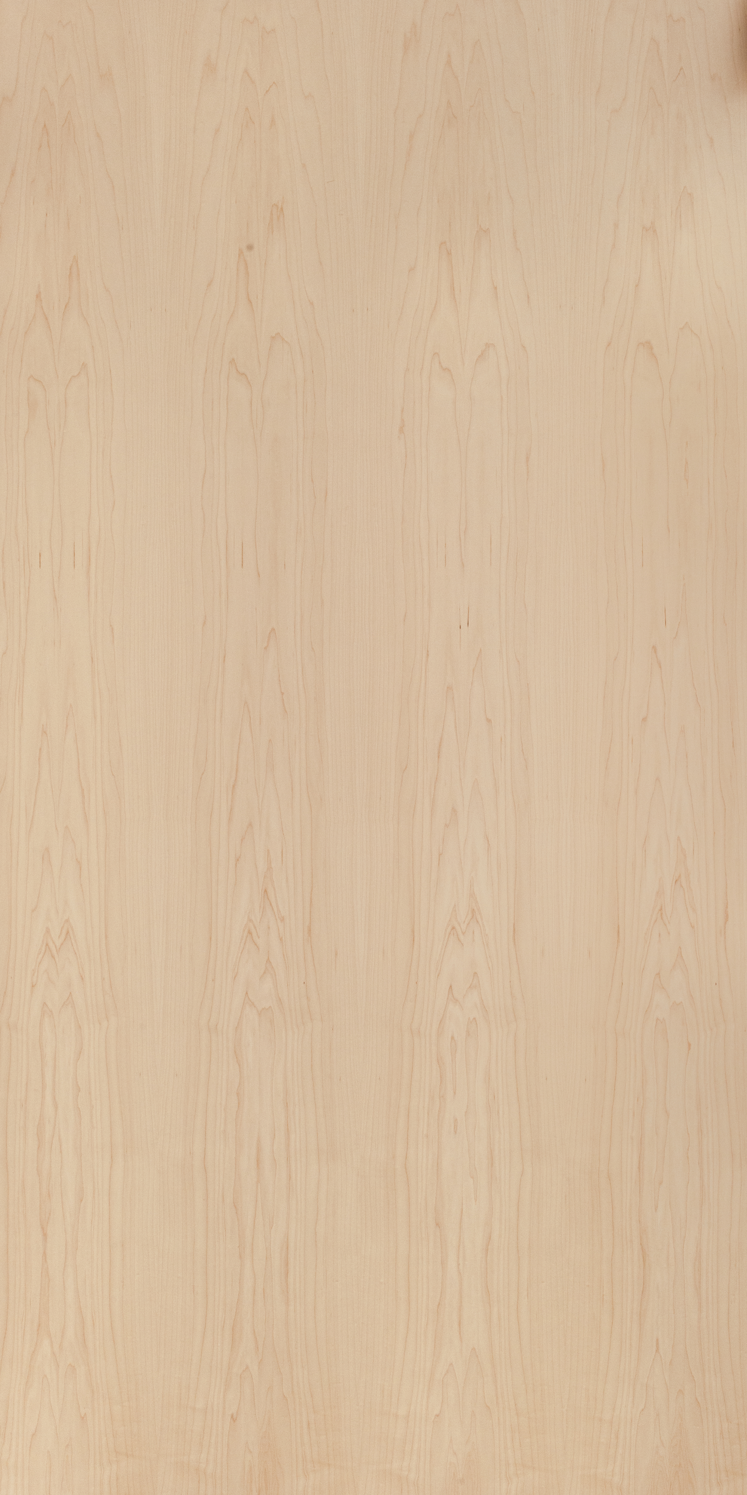 American Hard Maple Crown Cut