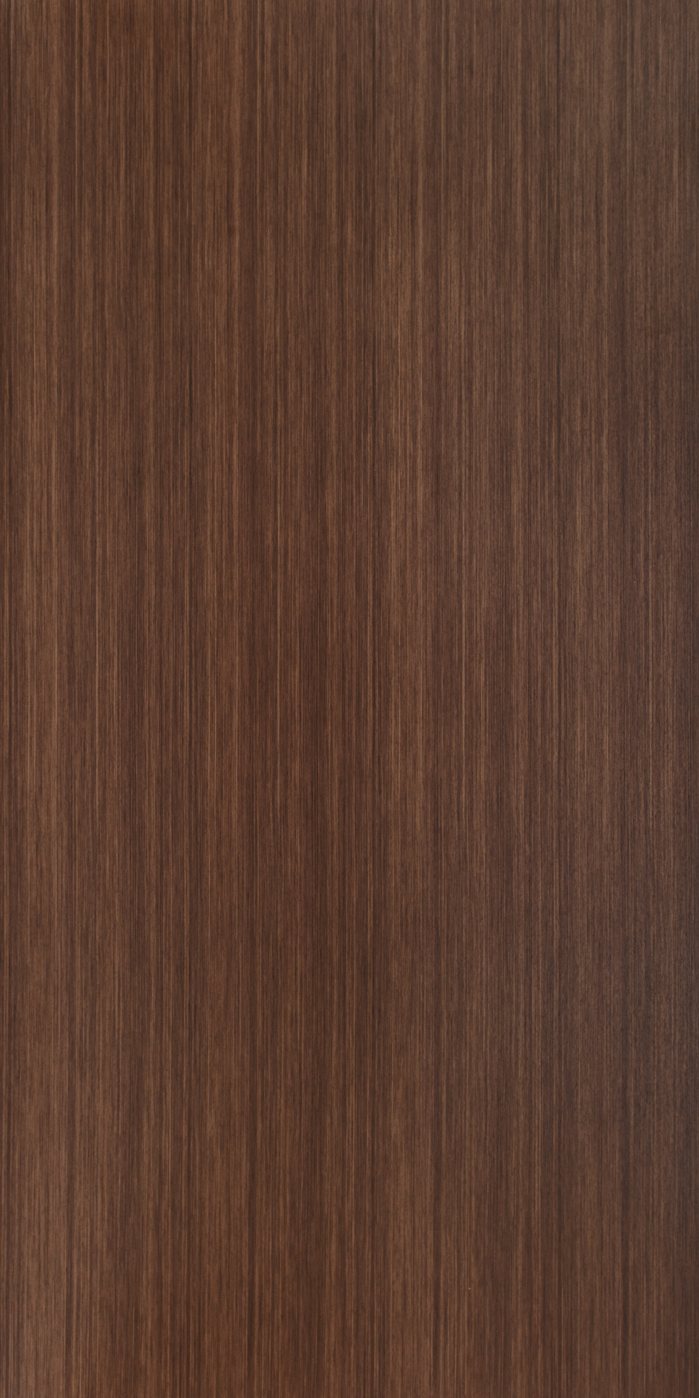 American Walnut Recut