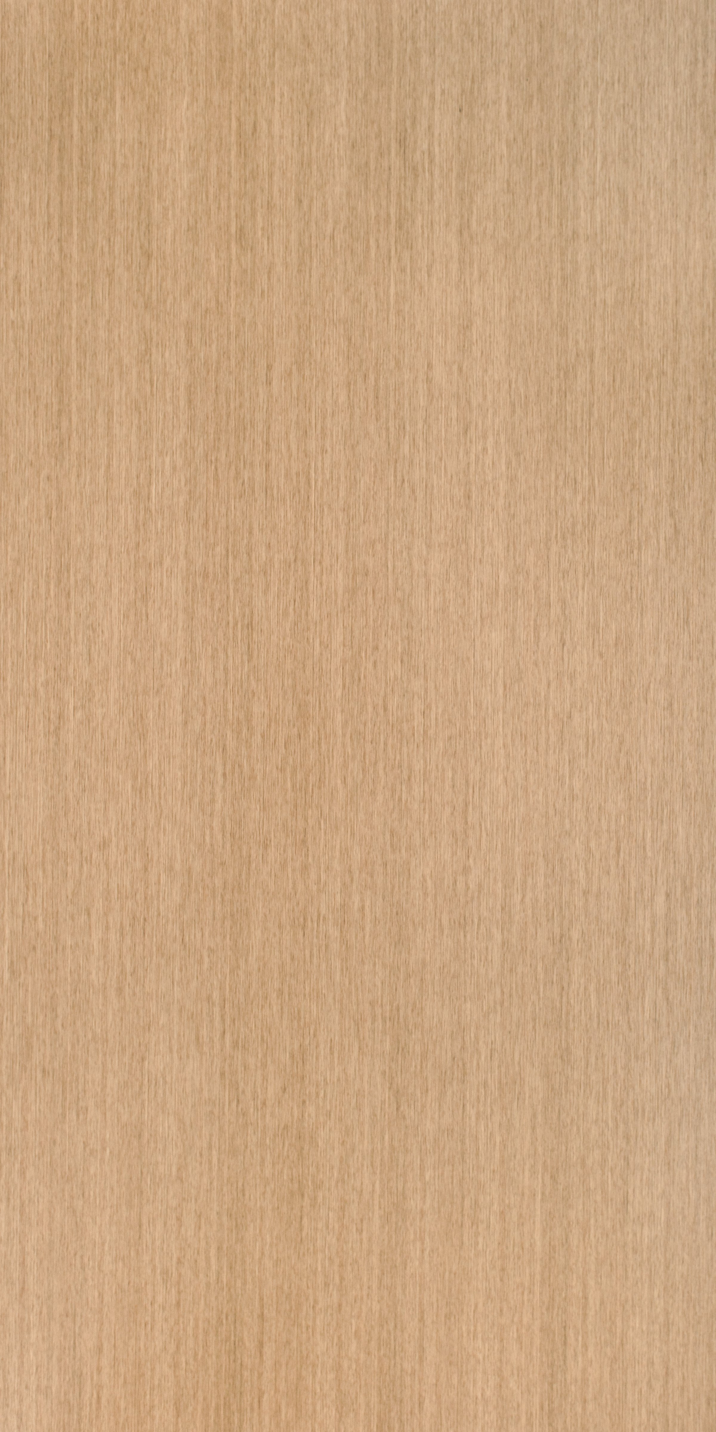 American White Oak Recut