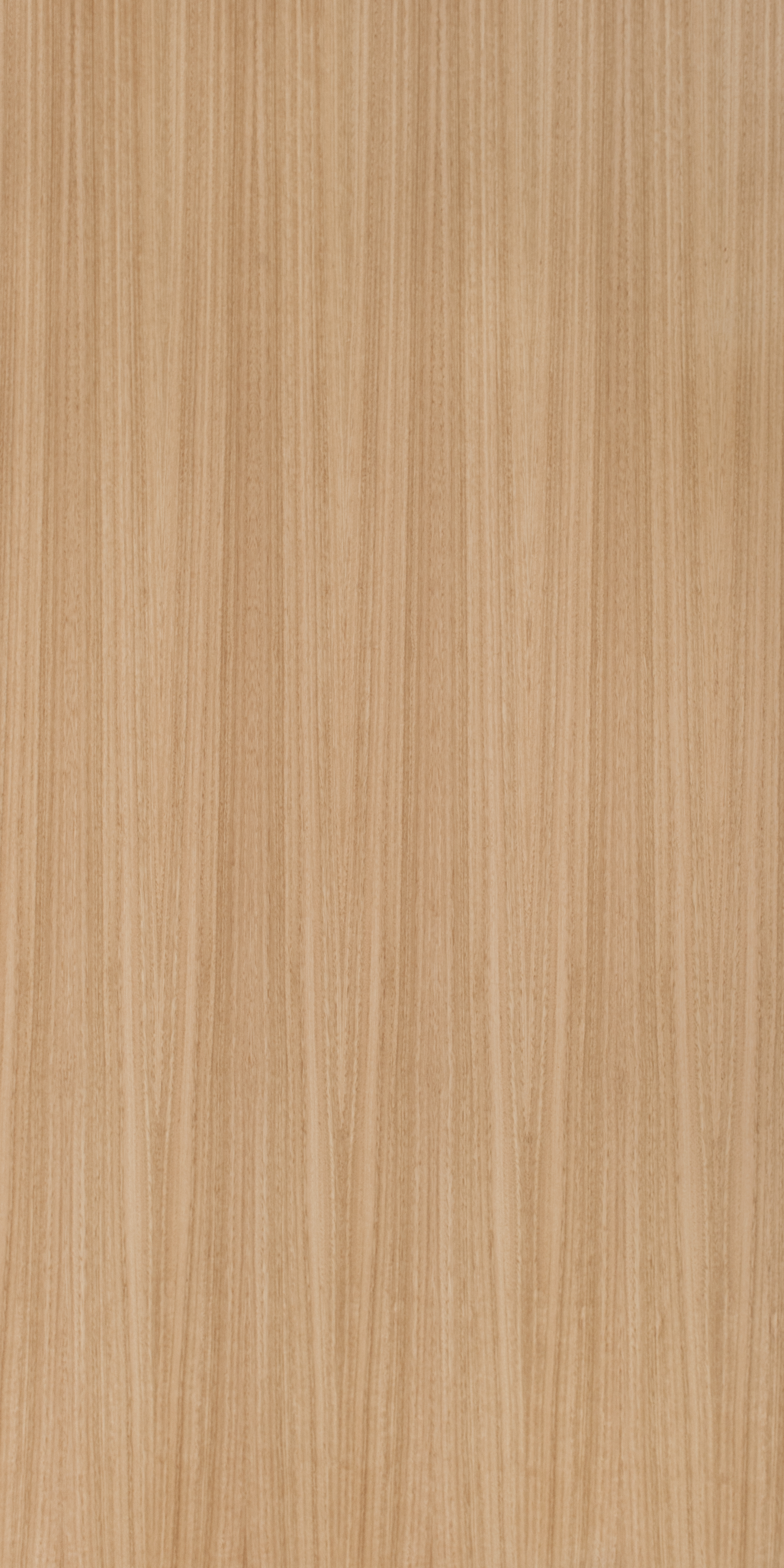 Eucalyptus Ash Quarter Cut