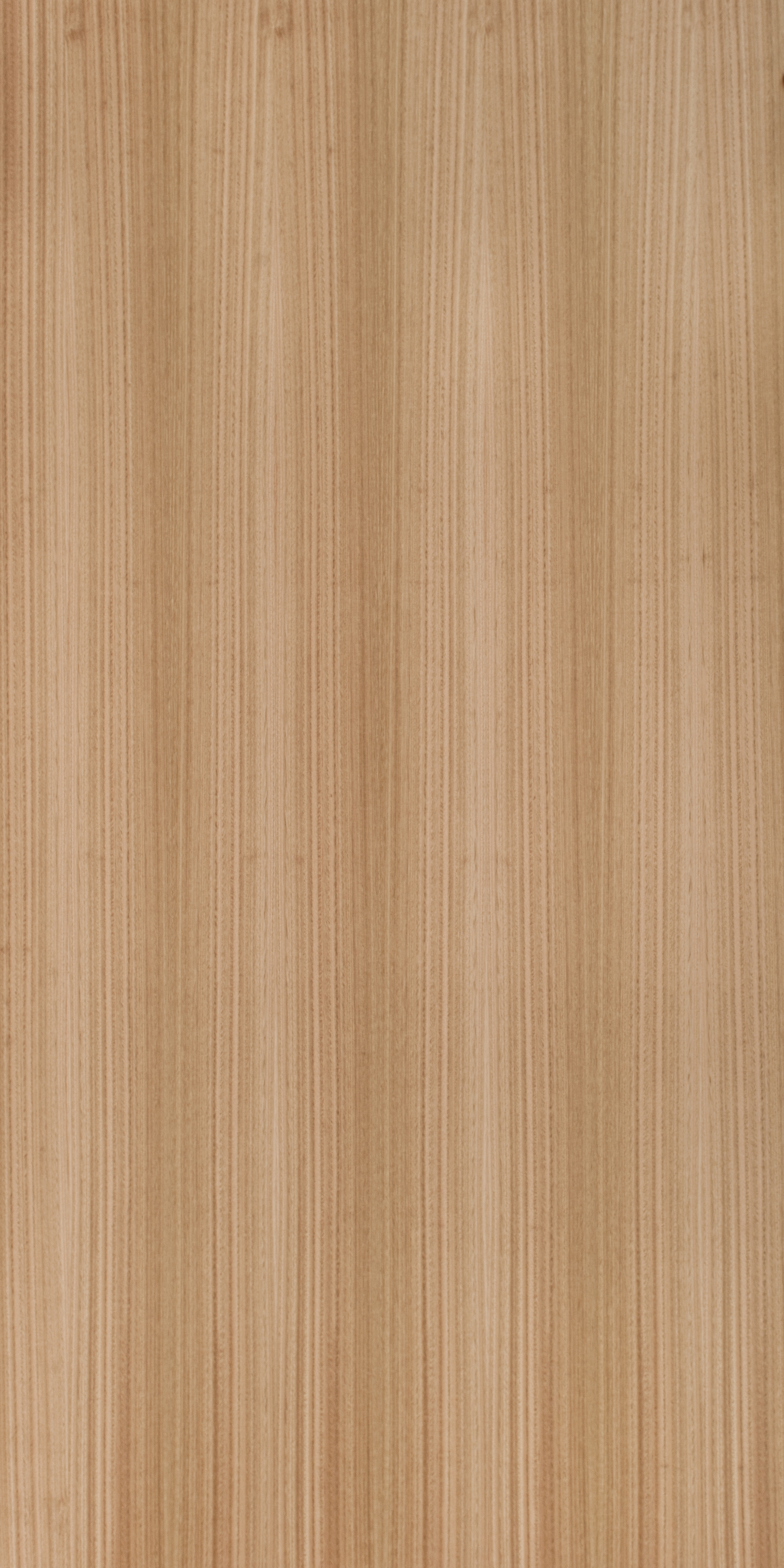 Eucalyptus Oak Quarter Cut