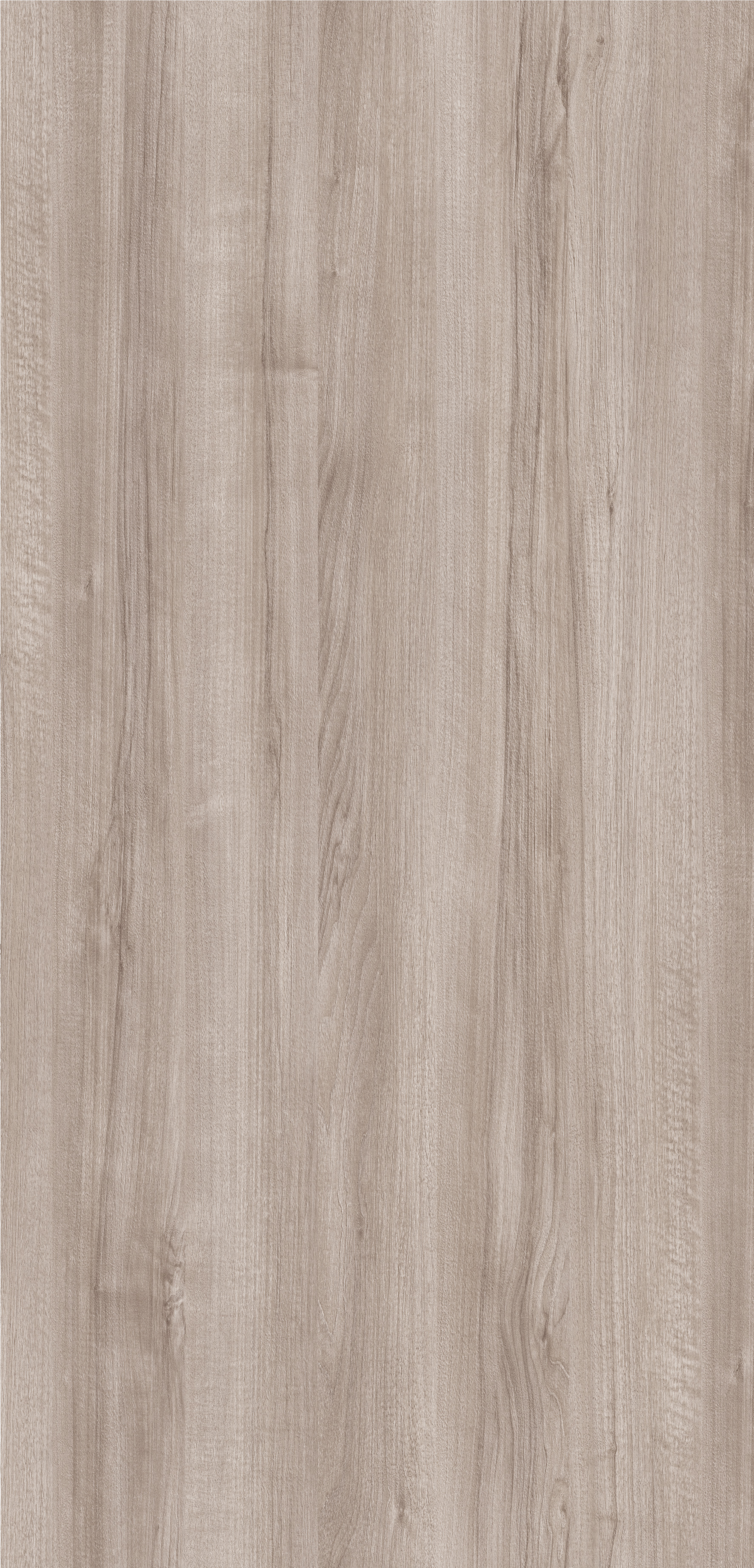Ashen Walnut