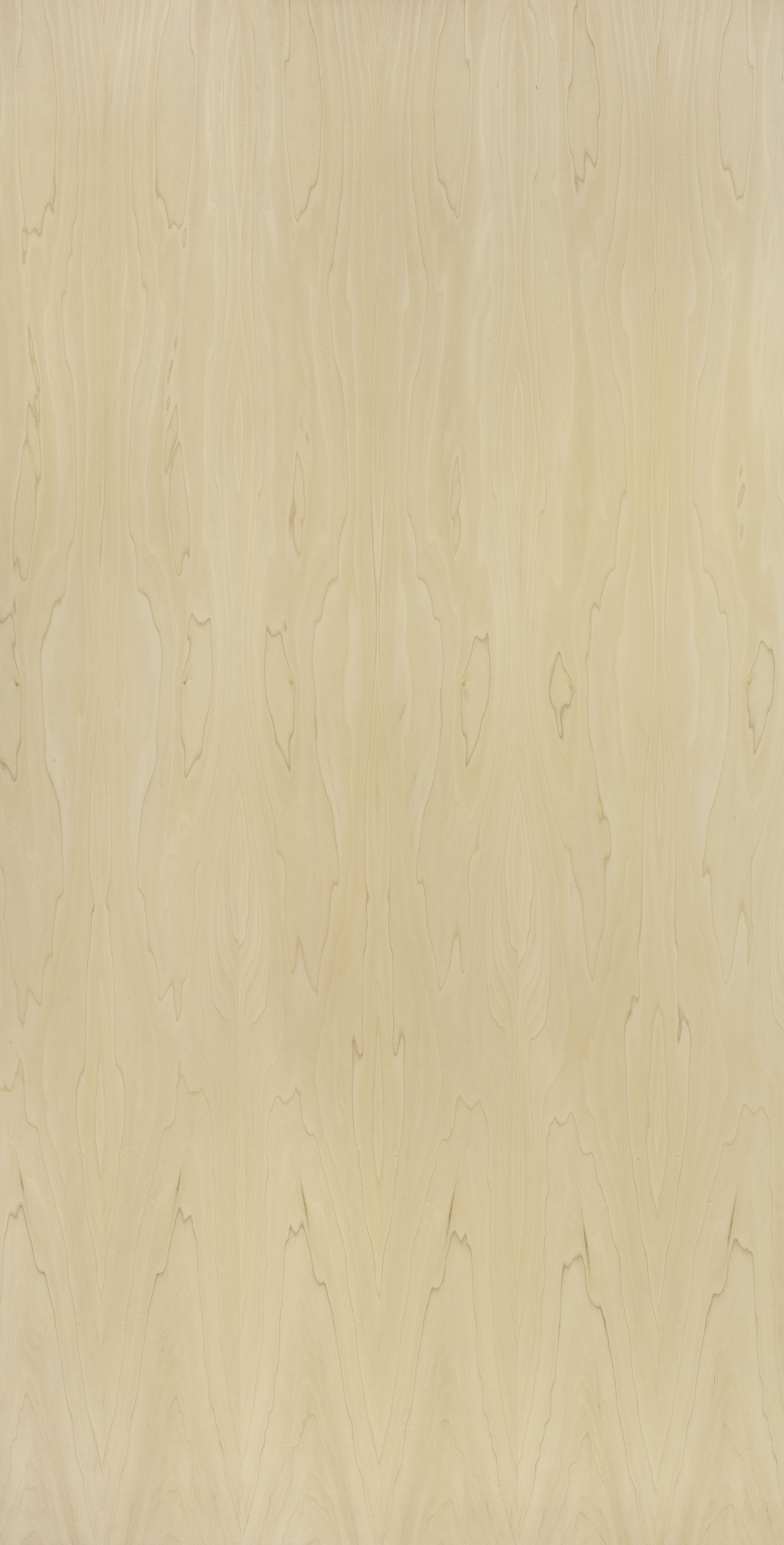 New England Maple Crown Cut